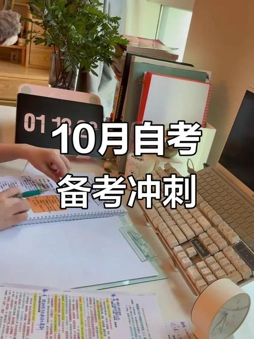 自考报考系统崩溃_1