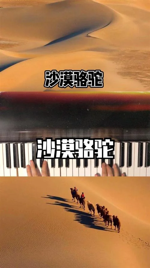 沙漠骆驼原唱是谁写的_2