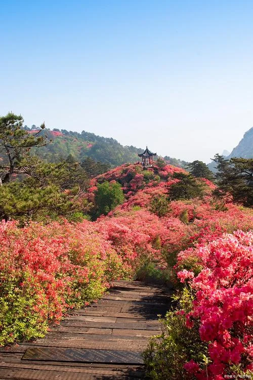 怀化周边有什么好玩的旅游景点_2