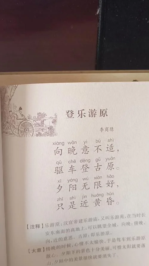 登乐游原的作者是谁_1