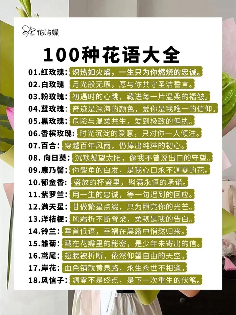 送女朋友花语_1