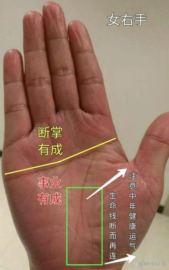 男人手相图片大全-男手相图精选
