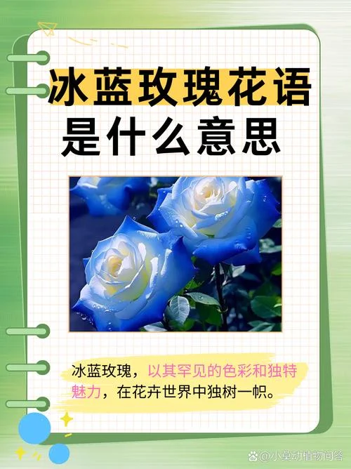 蓝颜红颜的含义是什么_1