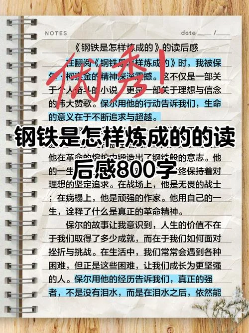 钢铁是怎样炼成的第十六章感悟_1