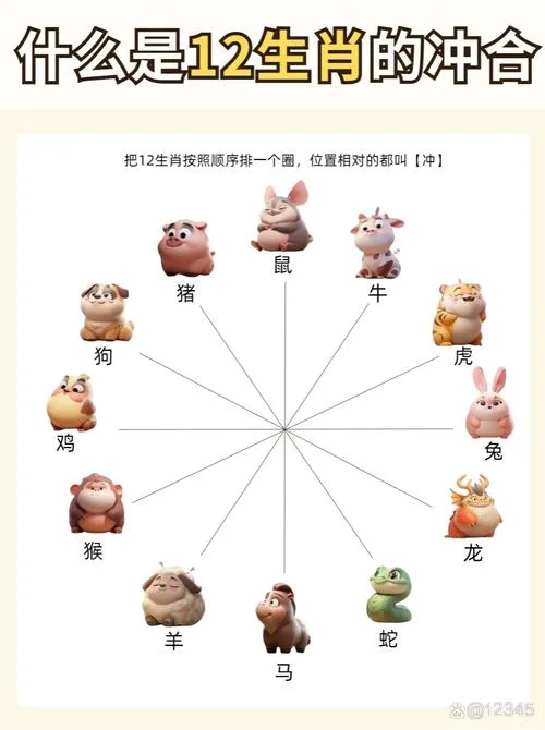 属相表猪_1