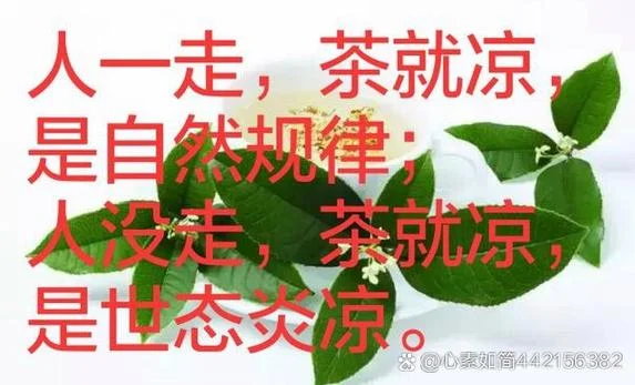 冷水泡茶慢慢浓下一句_1
