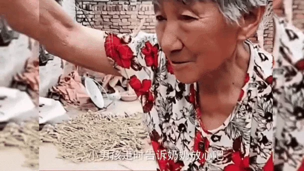 送奶奶什么吃的_2