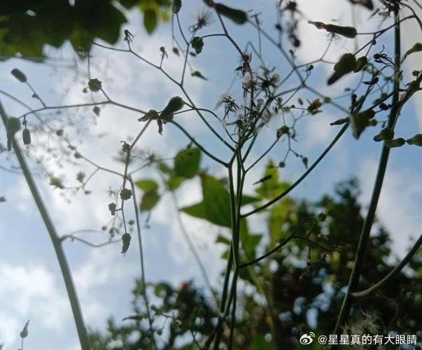 人生感悟日记_2