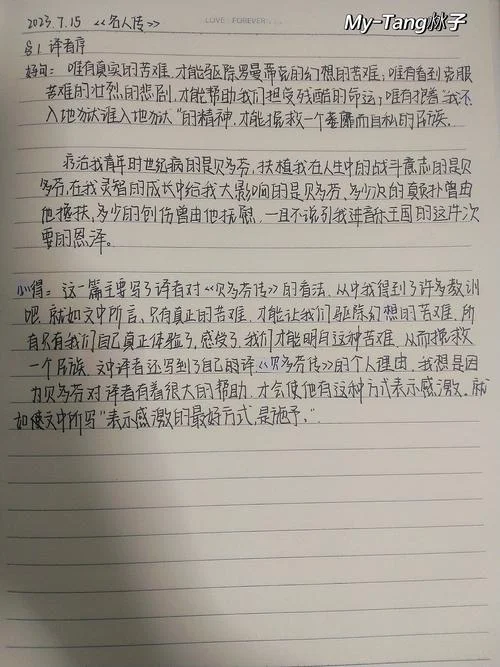名人传读后感200-名人传读后感 200