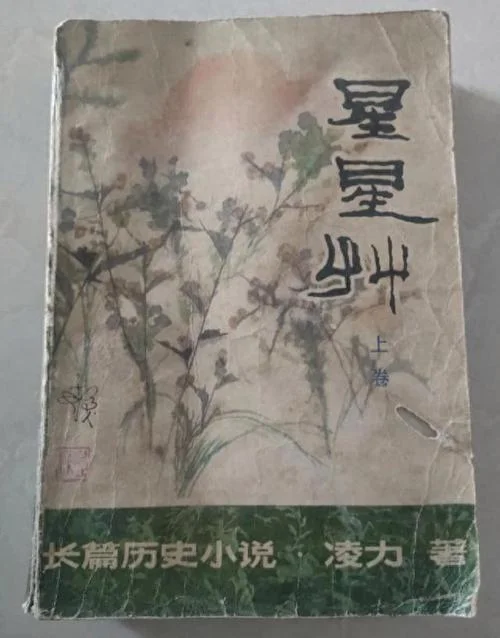 星星草历史小说_2
