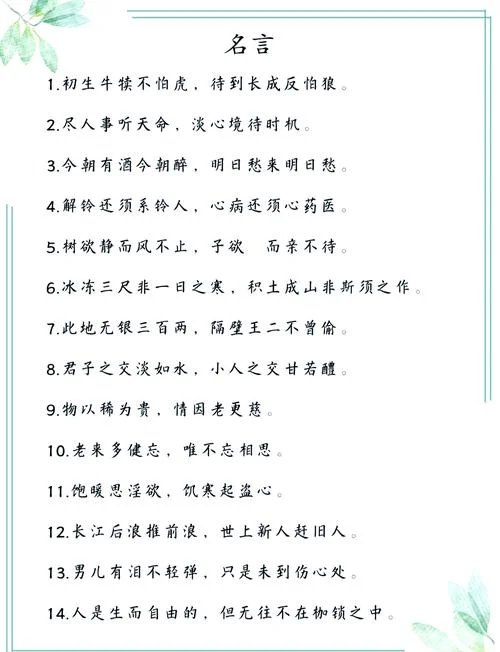 刚柔相济下一句是什么_1