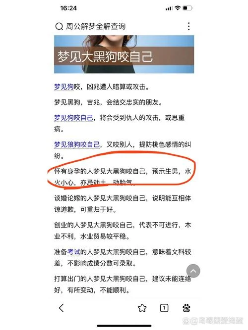 孕妇梦见被很多人欺负_2