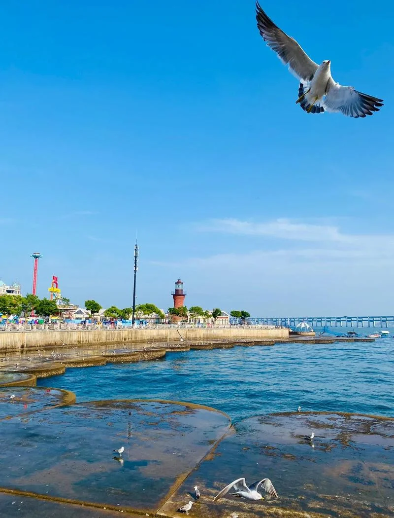 大连海边旅游必去景点_1