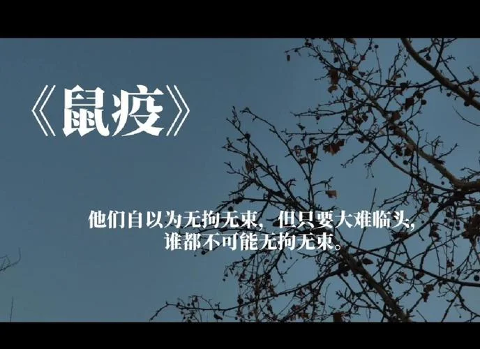 鼠疫读后感2500-鼠疫读后感 2500
- 改写后：鼠疫读后感