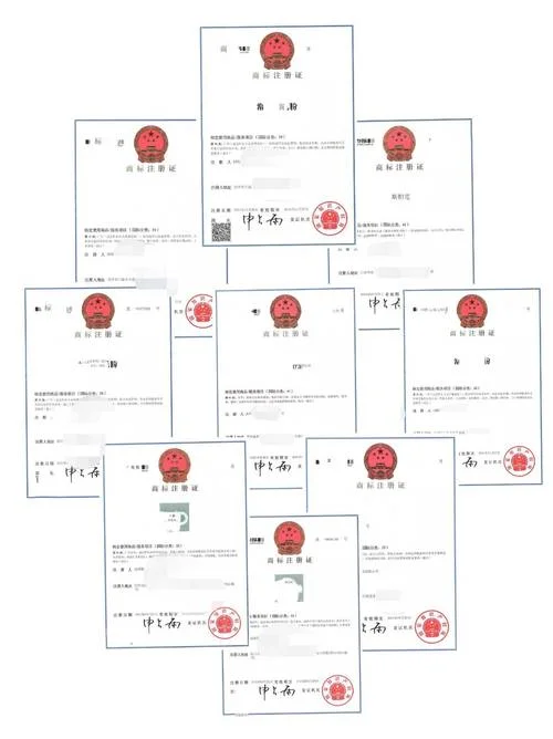 商标注册证书在哪里查_1