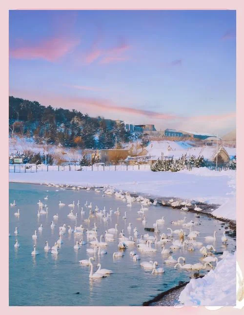 冬季荣成旅游攻略-荣成冬季游玩指南