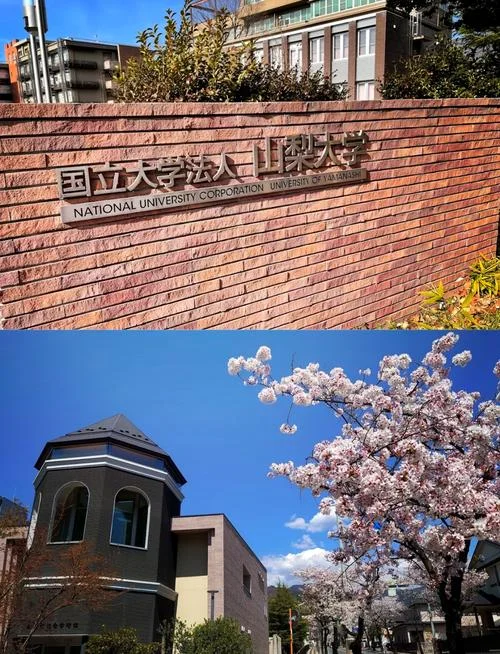 日本最好的大学是哪一所_1