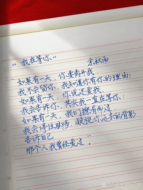 我在未来等你感悟_2