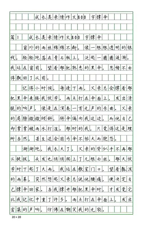 用亲情写一篇作文-亲情作文重写