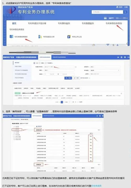 如何查知识产权编号查询系统_2