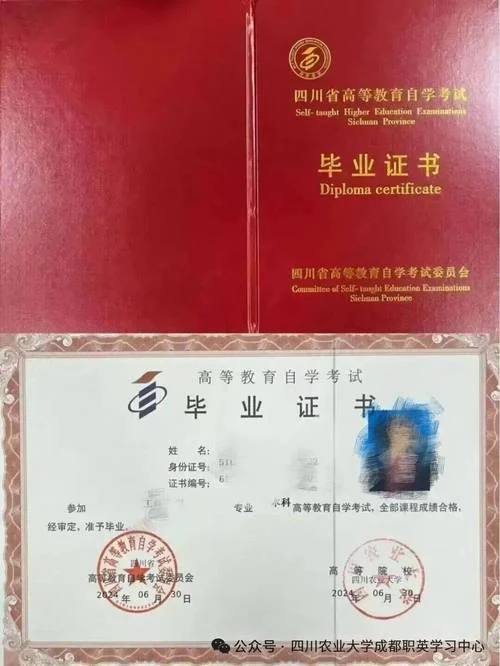 学历证书查询证书编号_2