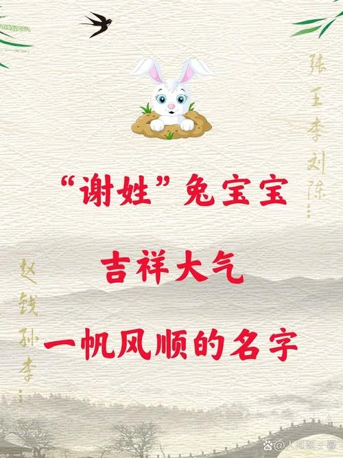 给兔宝宝起名女孩名_1