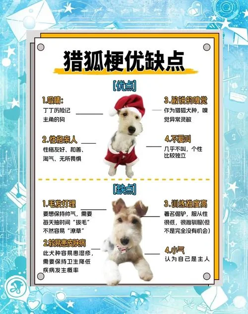 憨态可掬的意思与出处_1