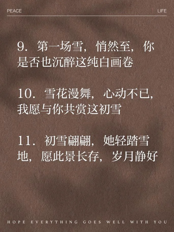 今年第一场雪的感悟_1