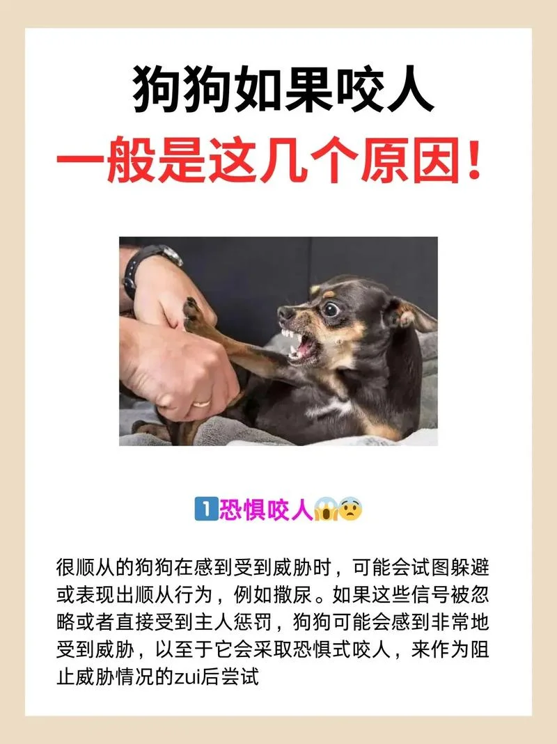 做梦狗咬我是什么意思-梦中被狗咬