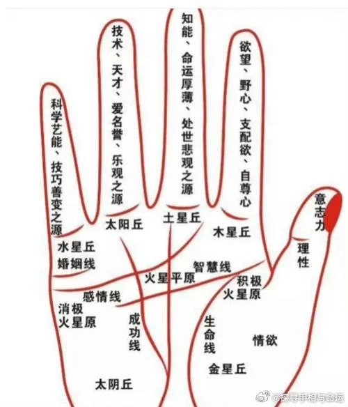 手相三条线代表_1