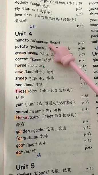 第四的英文怎么写_1