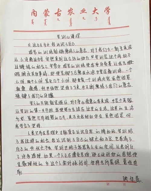 政府机关拓展训练感悟_2