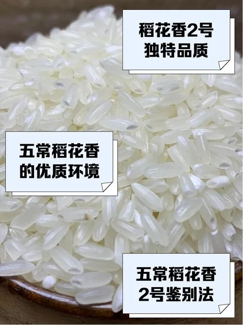 湖南的大米出自于哪里-湖南大米来源
