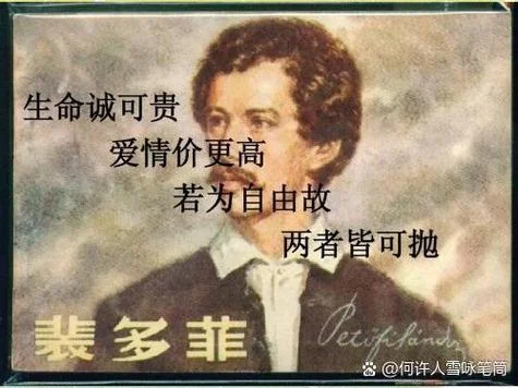 琴伤歌词是谁写的_1