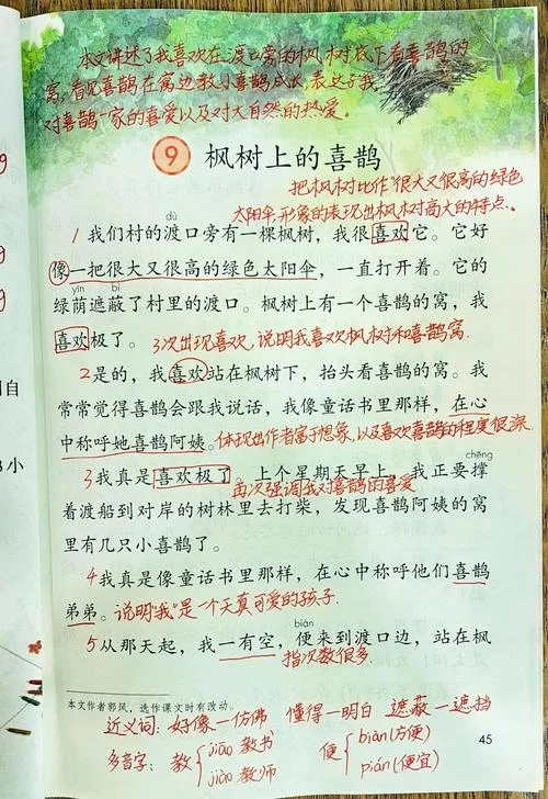 喜鹊搬家的道理-喜鹊搬家寓意好