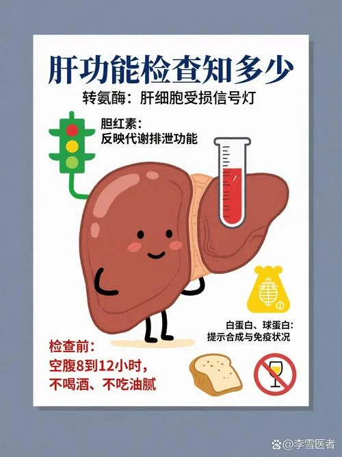 肝如何查_2