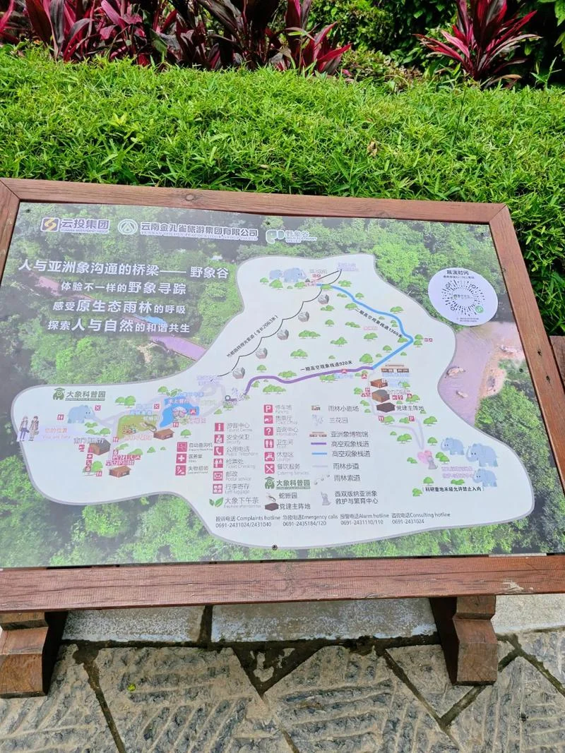 导览是什么意思_1