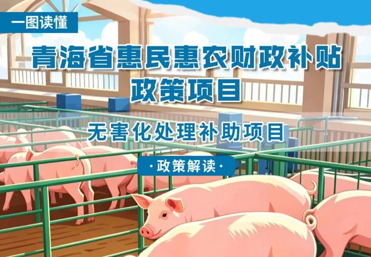 政府补贴政策项目_2