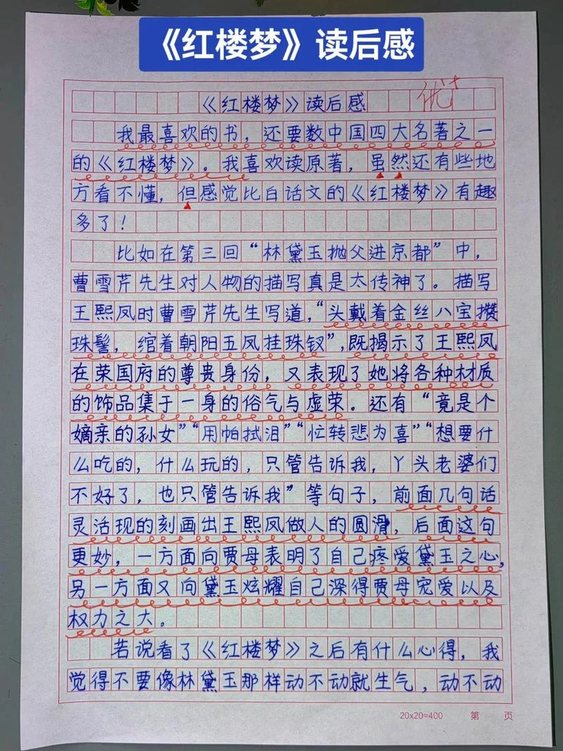 红楼梦读后感刘姥姥进大观园_1
