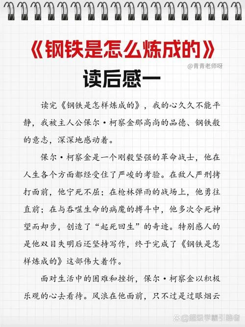 钢铁是怎样炼成的感悟30字_1