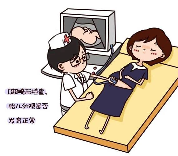 b超如何查卵泡_2