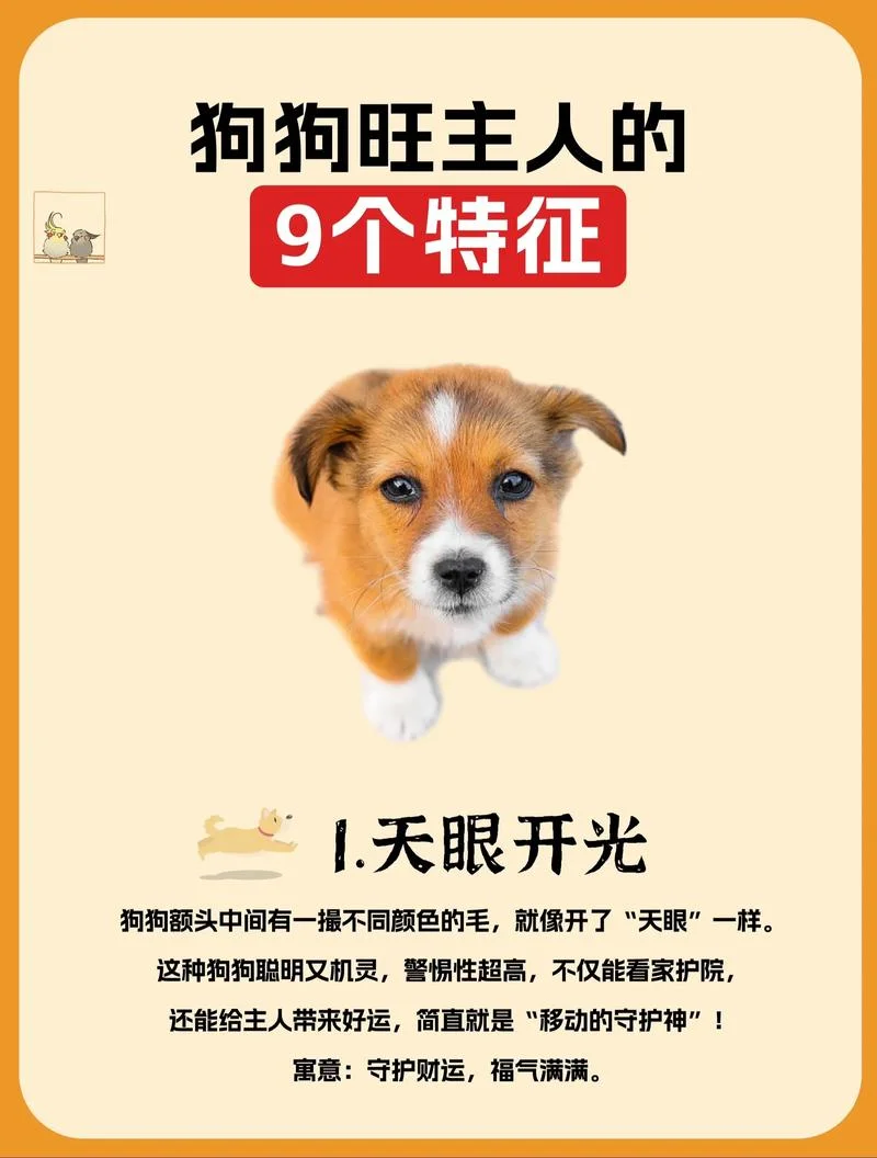 属狗2017年运势及运_2