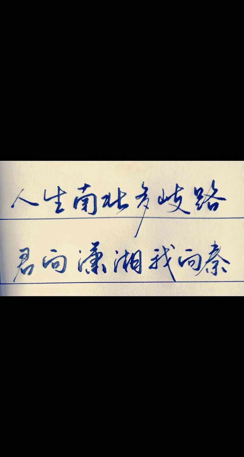 从此萧朗是路人上一句_2