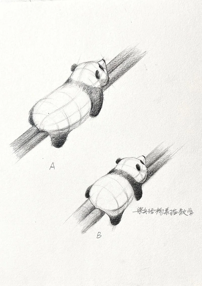小熊猫怎么画素描-小熊猫素描画法