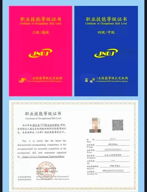全国人才评价证书全国联网查询_1