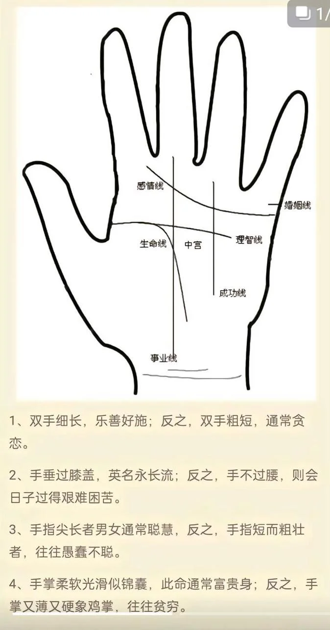 女人好命的手相图解_2