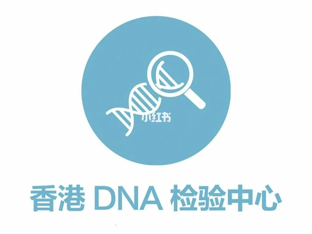 如何去香港查男女_2