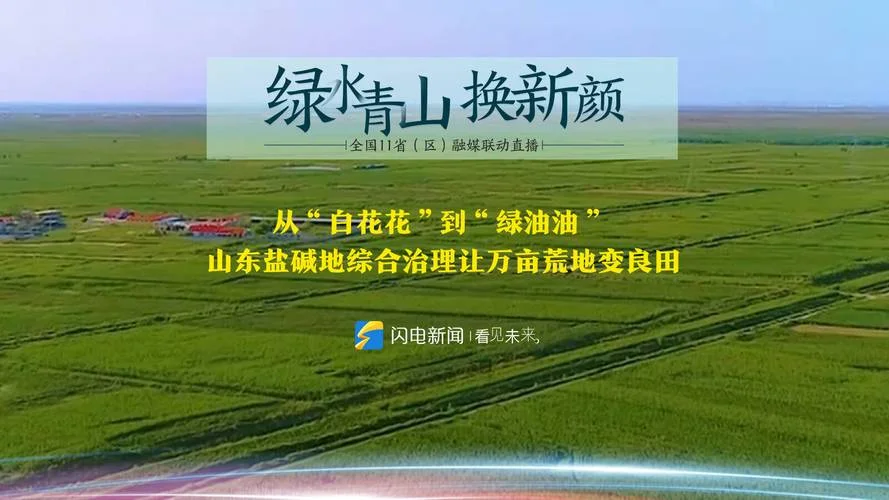 盐碱地治理一亩多少钱_2