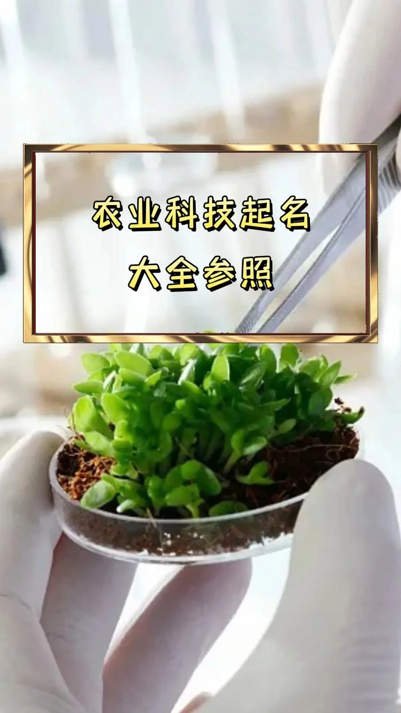 生态农业公司如何起名-生态农业公司起名指南