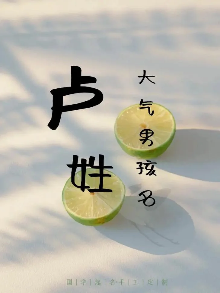 卢姓男宝宝起名字_2